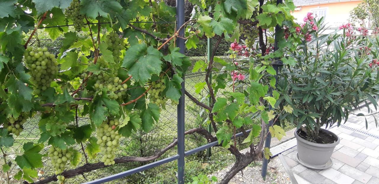 A Bringas Apartman Balatonfüred Dış mekan fotoğraf